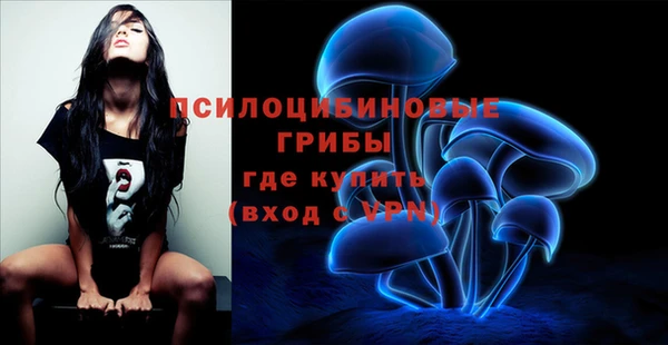 тгк Абаза